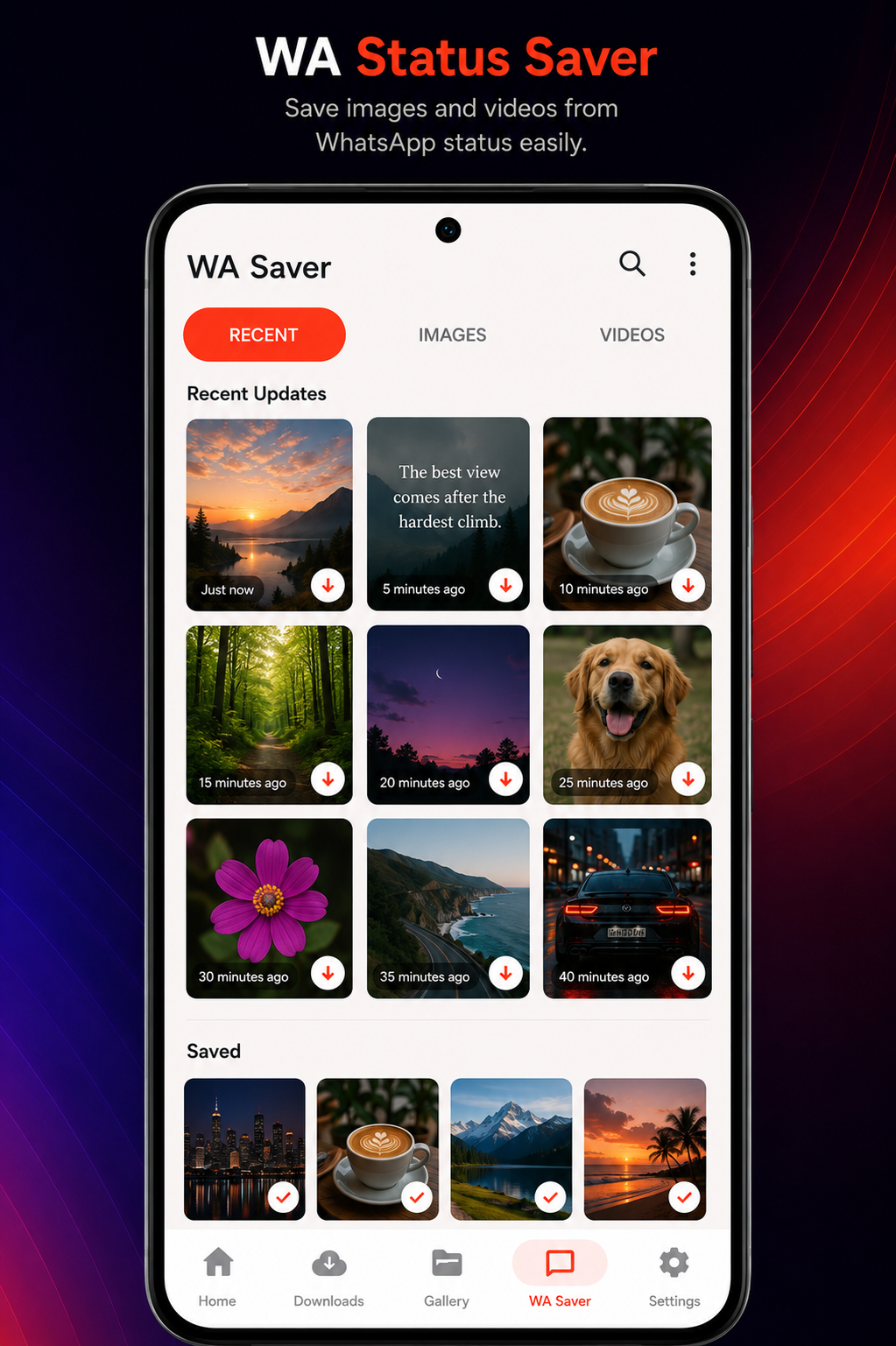 Vortyx WhatsApp Saver Tab Screenshot
